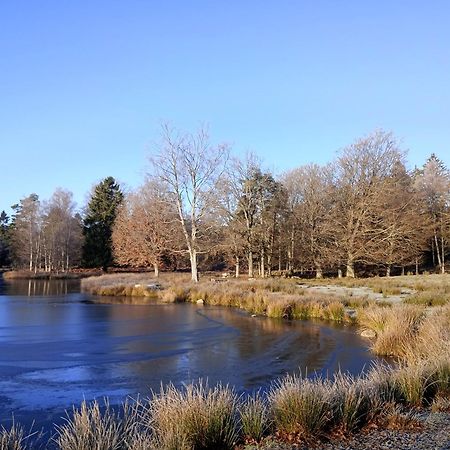 Damwildfarm In Rollerbue Suedschweden Vila Tyringe Exterior foto